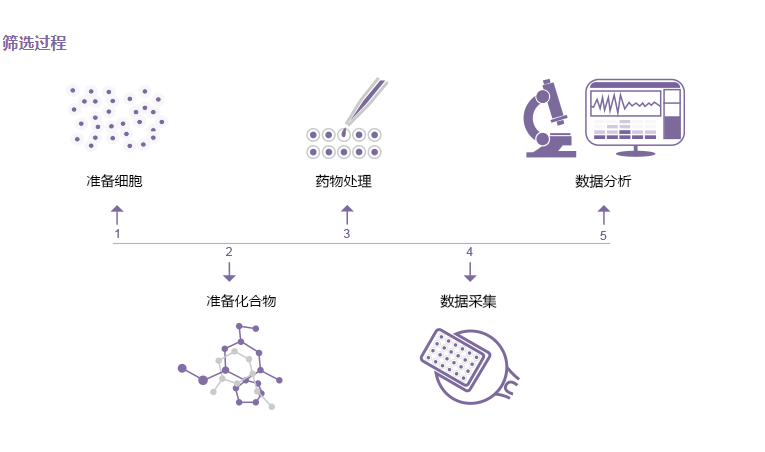 基于细胞表型的活性筛选
