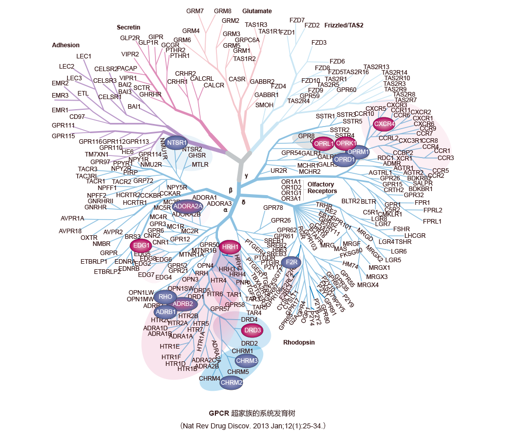 GPCR 靶向药物筛选